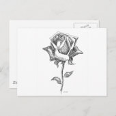 Schwarz-Weiß-Rose Postkarte (Vorne/Hinten)
