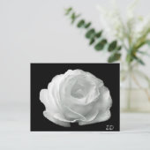 Schwarz-Weiß-Rose Postkarte (Stehend Vorderseite)