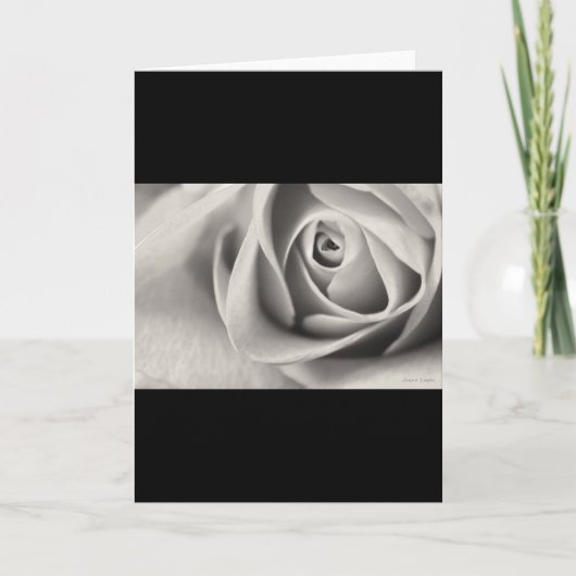 Schwarz-Weiß-Rose, Schreibwaren, Vorlage (Vorderseite)