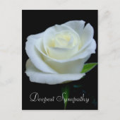 Schwarz-Weiß-Rose Tief-Beileid Postkarte (Vorderseite)