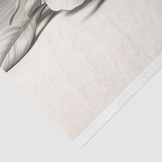 Schwarz-Weiß-Rosen im Blut Seidenpapier (Ausschnitt)