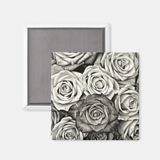Schwarz-Weiß-Rosen Magnet (Vorderseite/Rückseite)