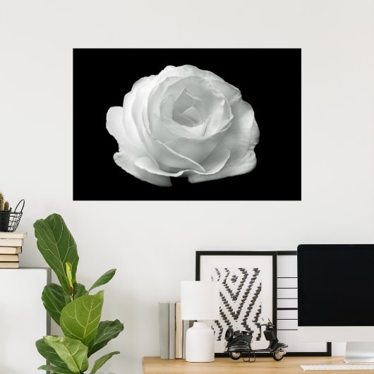 Schwarz-Weiß-Rosen-Poster Poster (Heimbüro)