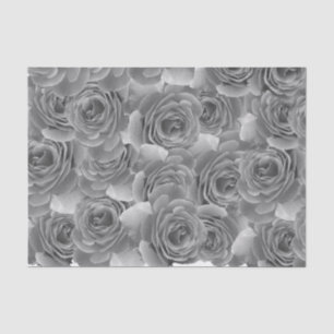 Schwarz-Weiß-Rosen Seidenpapier