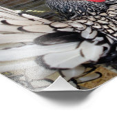 Schwarz-Weiß-Roster mit Schwanz im Käfig Fotodruck (Ecke)