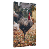 Schwarz-Weiß-Roster mit zwei Hühnern in der Natur Klemmbrett (Rechts)