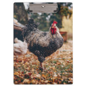 Schwarz-Weiß-Roster mit zwei Hühnern in der Natur Klemmbrett (Vorderseite)