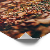 Schwarz-Weiß-Roster mit zwei Hühnern in der Natur Poster (Ecke)