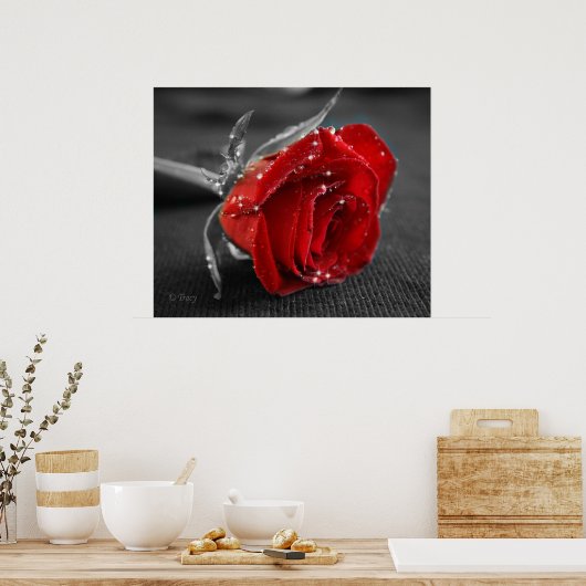 Schwarz/weiß/rot Poster (Küche)