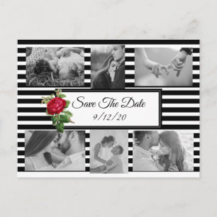 Schwarz-Weiß-Rote Rose Save the Date Postkarte