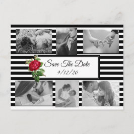 Schwarz-Weiß-Rote Rose Save the Date Postkarte
