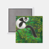 Schwarz-Weiß-Ruffed Lemur Magnet (Vorderseite/Rückseite)
