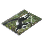 Schwarz-Weiß-Ruffed Lemur (Varecia Notizblock (Linke Seite)