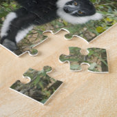 Schwarz-Weiß-Ruffed Lemur (Varecia Puzzle (Seite)