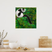 Schwarz-Weiß-Ruffel-Lemur-Poster Poster (Küche)