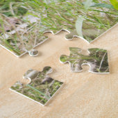 Schwarz-Weiß-Rufflemur: Tierfotografie Puzzle (Seite)