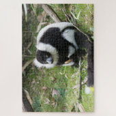 Schwarz-Weiß-Rufflemur: Tierfotografie Puzzle (Vertikal)