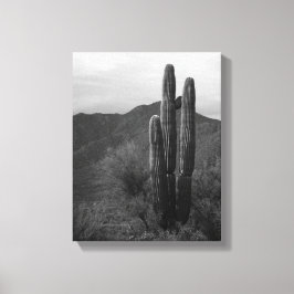 Schwarz-Weiß-Saguaro-Kakteen in Hills 11x14 Leinwanddruck
