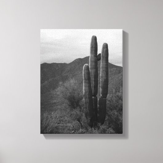 Schwarz-Weiß-Saguaro-Kakteen in Hills 11x14 Leinwanddruck (Vorderseite)