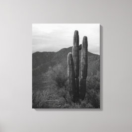 Schwarz-Weiß-Saguaro-Kakteen in Hills 16x20 Leinwanddruck
