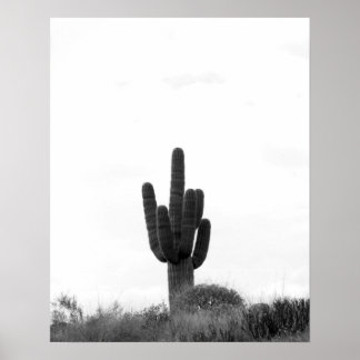 Schwarz & Weiß Saguaro Kaktus auf Hügelspitze 16x2 Poster