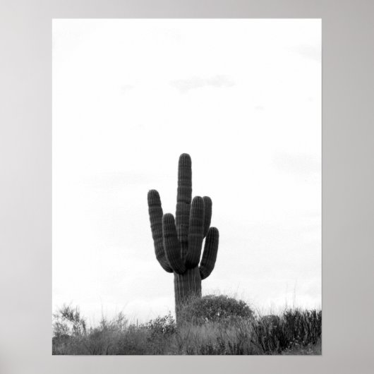 Schwarz & Weiß Saguaro Kaktus auf Hügelspitze 16x2 Poster (Vorne)