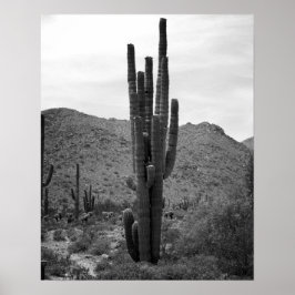 Schwarz-Weiß-Saguaro-Kaktus in der Arizona 16x20 Poster