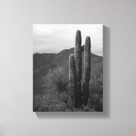 Schwarz-Weiß-Saguaro-Kaktus in Hills 8x10 Leinwanddruck