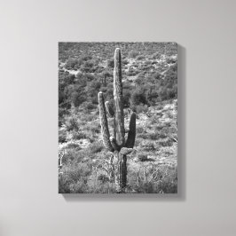Schwarz-Weiß-Saguaro-Kaktus in Sagebrush 11x14 Leinwanddruck