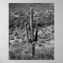 Schwarz-Weiß-Saguaro-Kaktus in Sagebrush 16x20 Poster