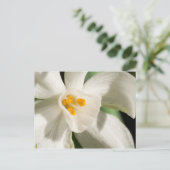 Schwarz-Weiß-Save the Date-Postkarten Ankündigungspostkarte (Stehend Vorderseite)