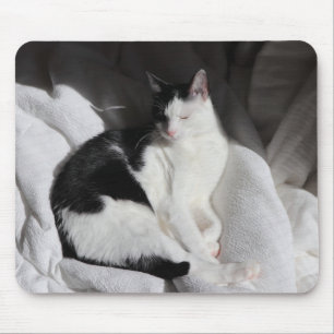 Schwarz-weiß schlafende Katze/Fügen Sie das Foto I Mousepad