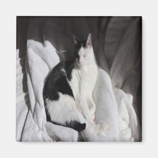 Schwarz-Weiß-Schlafkatze/Foto des Haustiers hinzuf Magnet