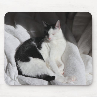 Schwarz-Weiß-Schlafkatze/Foto des Haustiers hinzuf Mousepad