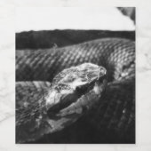 Schwarz-Weiß-Schlange Weinetikett (Einzelnes Label)