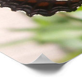 Schwarz-Weiß-Schmetterling 49 Poster (Ecke)