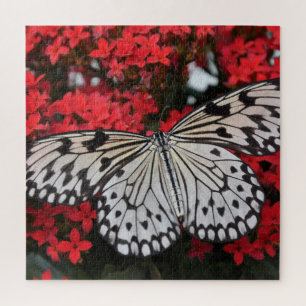Schwarz-Weiß-Schmetterling auf roten Blume Puzzle