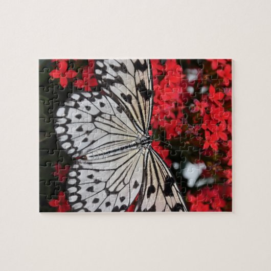 Schwarz-Weiß-Schmetterling auf roten Blume Puzzle (Horizontal)