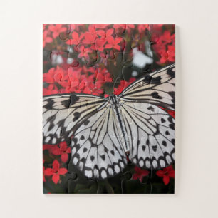 Schwarz-Weiß-Schmetterling auf roten Blume Puzzle