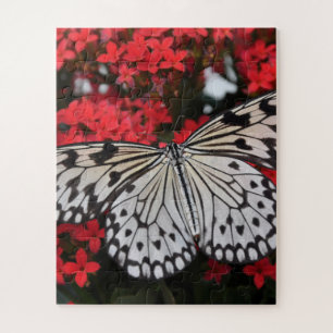 Schwarz-Weiß-Schmetterling auf roten Blume Puzzle