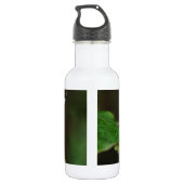 Schwarz-Weiß-Schmetterling Edelstahlflasche (Rückseite)