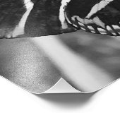 Schwarz-Weiß-Schmetterling Fotodruck (Ecke)