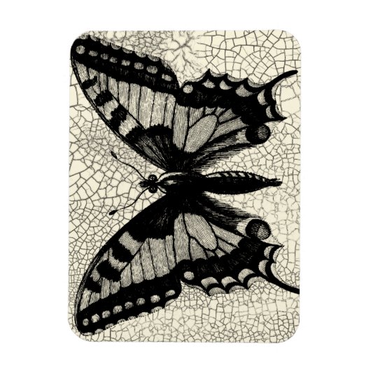 Schwarz-Weiß-Schmetterling im Hintergrund Magnet (Vertikal)