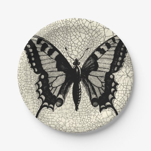 Schwarz-Weiß-Schmetterling im Hintergrund Pappteller (Vorderseite)