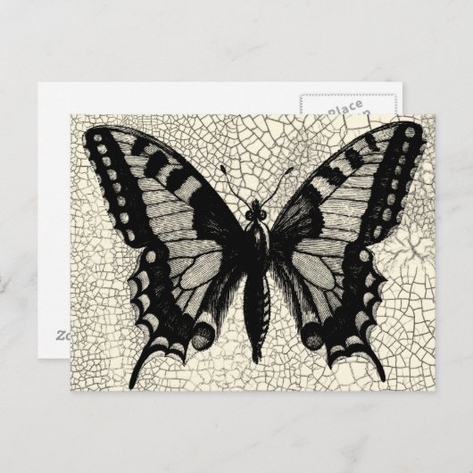 Schwarz-Weiß-Schmetterling im Hintergrund Postkarte (Vorne/Hinten)