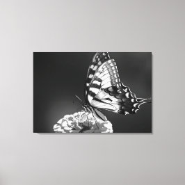 Schwarz-Weiß-Schmetterling-Leinwand Leinwanddruck
