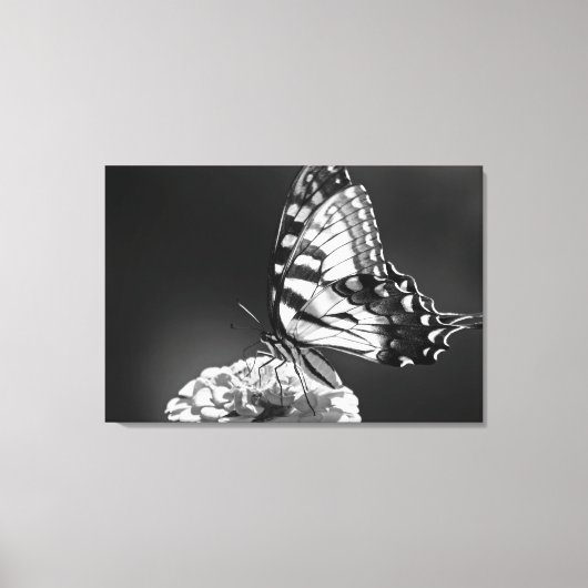 Schwarz-Weiß-Schmetterling-Leinwand Leinwanddruck (Vorderseite)