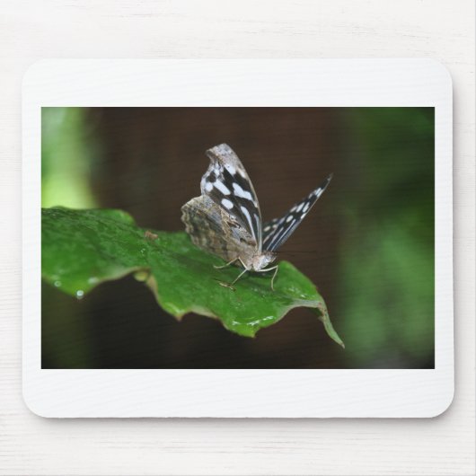 Schwarz-Weiß-Schmetterling Mousepad (Vorne)