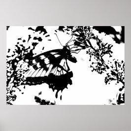 Schwarz-Weiß-Schmetterling-Poster Poster