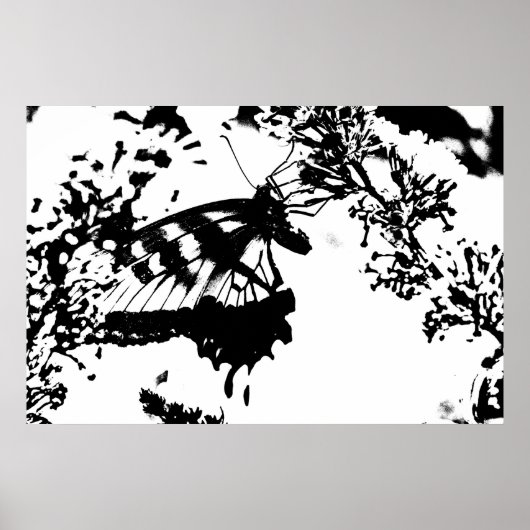 Schwarz-Weiß-Schmetterling-Poster Poster (Vorne)